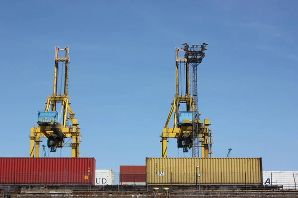 Grues Portuaires Dans Port Hambourg — Photo