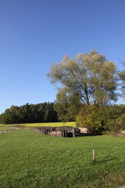 Bamberg Yakınlarında Sonbahar Ağaçları — Stok fotoğraf