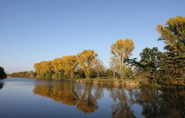 Herbstbäume Bei Bamberg — Stockfoto