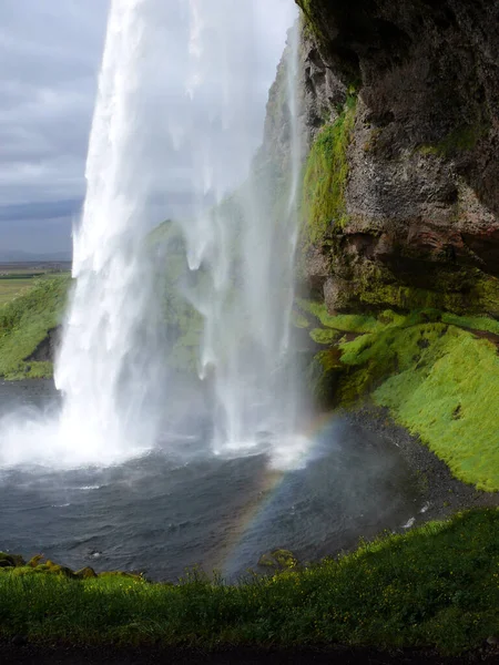 Cascata Ghiandaia Con Piante Verdi — Foto Stock