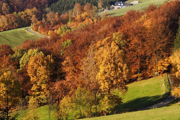 Höst Landskap Med Träd Och Berg — Stockfoto