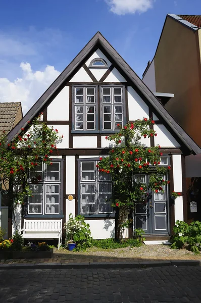 Традиционные Голландские Дома Низине — стоковое фото