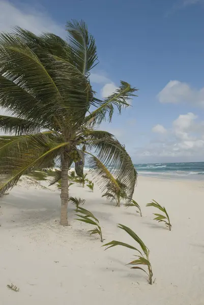 Hermosa Vista Orilla Del Mar — Foto de Stock