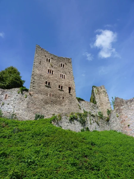 Oud Kasteel Bergen — Stockfoto