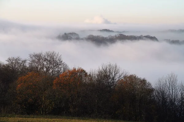 Herfst Landschap Met Mist Bomen — Stockfoto