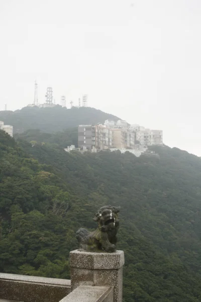 Zicht Vanaf Piek Hong Kong Omgeving Met Stenen Leeuw Voorgrond — Stockfoto