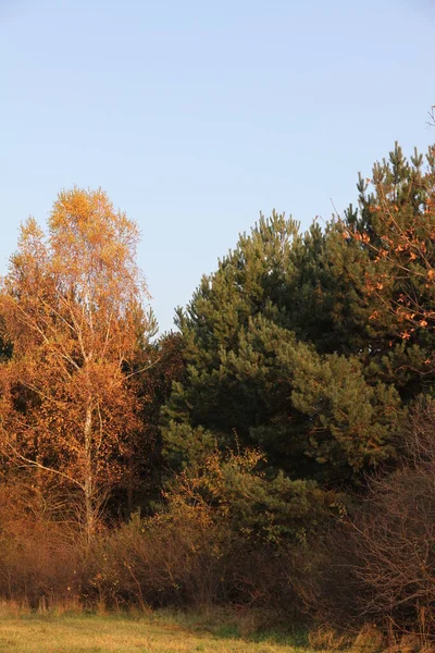 Kultura Bavorské Země Německu — Stock fotografie