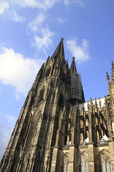 Köln Katedrális Közelről — Stock Fotó