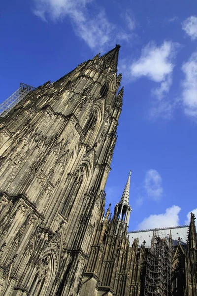 Cathédrale Cologne Gros Plan — Photo