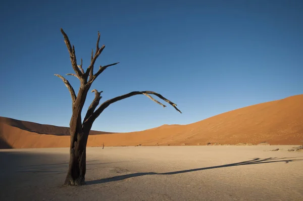 Zicht Woestijnlandschap Namibië — Stockfoto