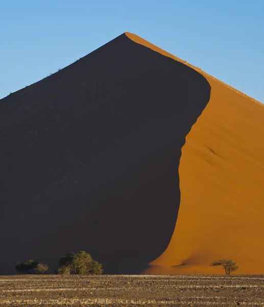 Scenic View Dunes Selective Focus — Stock Photo, Image