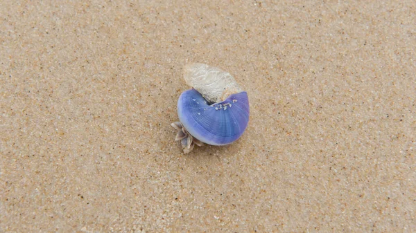 Beach Goods Sea Daytime — Stock Photo, Image