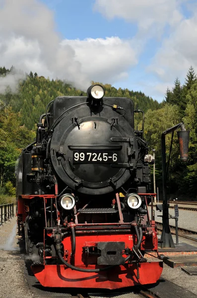 Locomotiva Vapor Ferrovia Bitola Estreita Harz — Fotografia de Stock