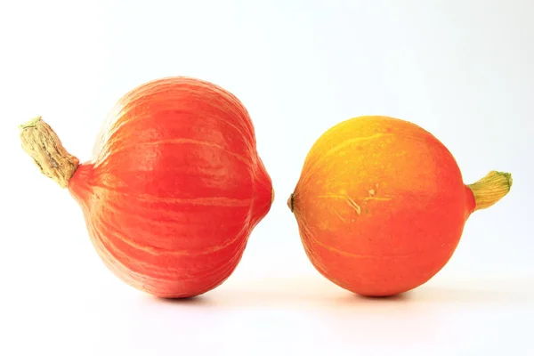 Calabazas Ecológicas Verduras Calabaza Alimentos Vegetales —  Fotos de Stock