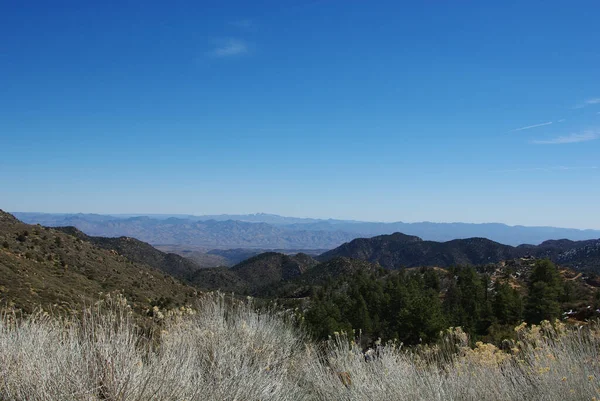 Çalı Çırpı Geniş Açık Dağ Manzarası Kuzey Arizona — Stok fotoğraf