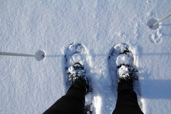 Onderweg Met Sneeuwschoenen — Stockfoto