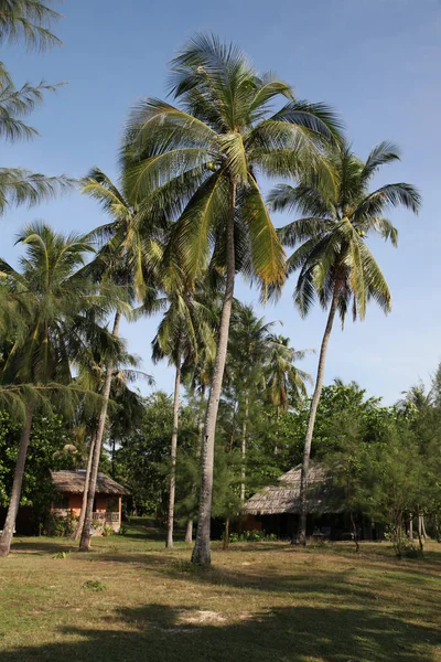 Mango Bay Resort Phu Quoc — Foto Stock