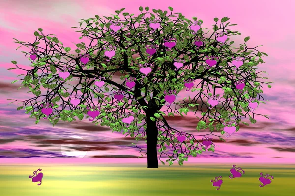 Pink Flowers Tree — Stock Photo, Image