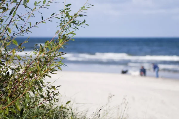 Östersjön Strand Med Vit Sand Och Vågor Suddig Bakgrund Samt — Stockfoto