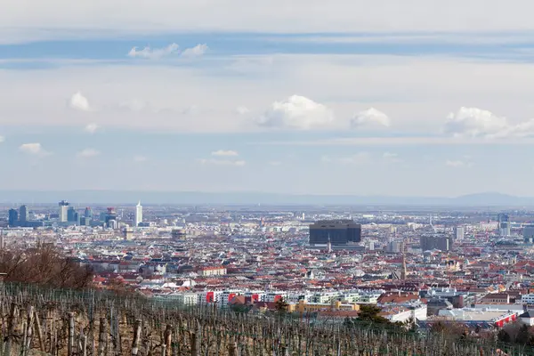Bécsi Városkép Szőlőskerttel Előtérben Tavaszi Felhőkben — Stock Fotó