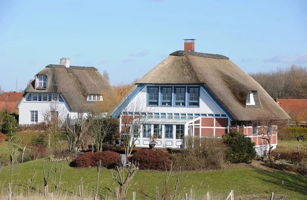 Typisch Holländische Häuser Den Niederlanden — Stockfoto