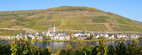 Zell Merl Mosel Panorama Höst — Stockfoto