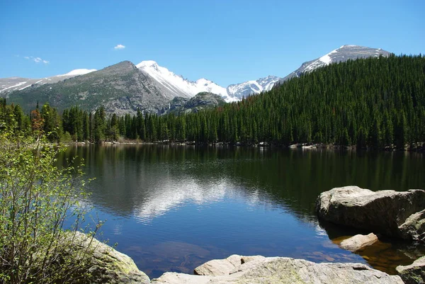 Lake Rotsen Bossen Rocky Mountains Colorado — Stockfoto