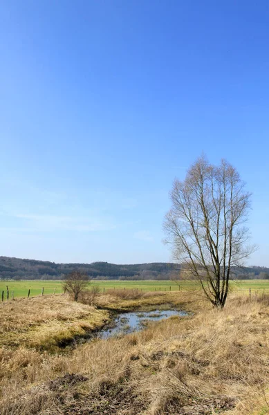 Přírodní Rezervace Chráněná Oblast Významem Pro Flóru Faunu Nebo Rysy — Stock fotografie