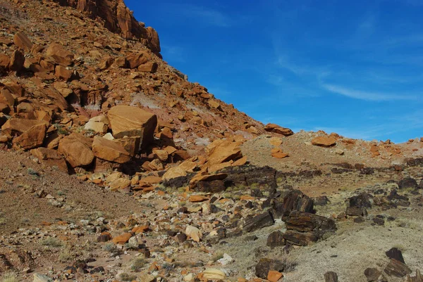 Legno Pietrificato Rocce Arancioni Cielo Blu Utah — Foto Stock