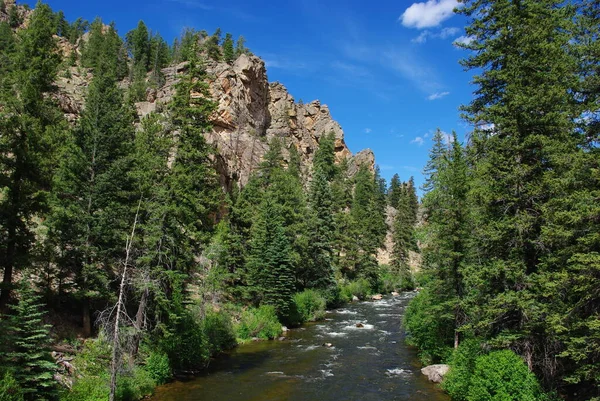 Flod Skog Klippor Och Blå Himmel Colorado — Stockfoto