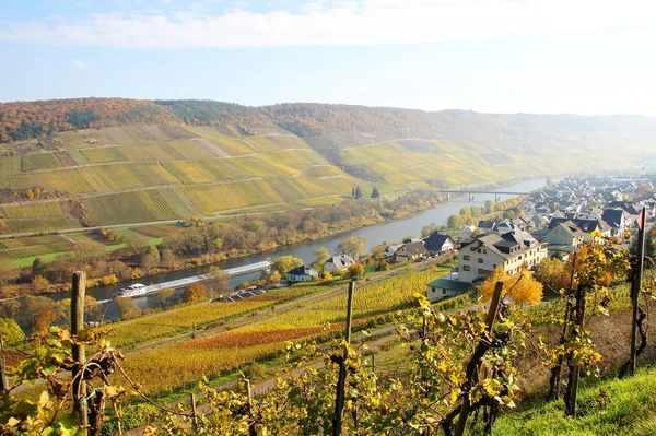 Reil Mosel Höst — Stockfoto