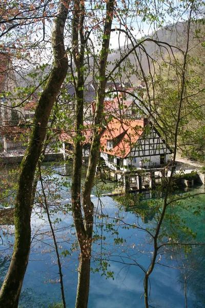 Uitzicht Het Park Het Voorjaar — Stockfoto