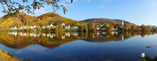 Bullay Mosel Panorama Hösten — Stockfoto