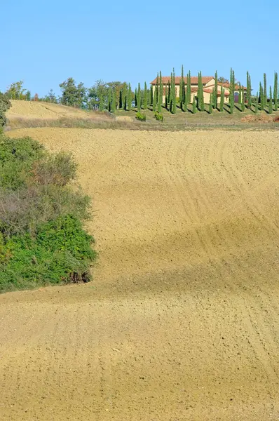 Podere Φθινόπωρο Podere Στην Περίπτωση — Φωτογραφία Αρχείου