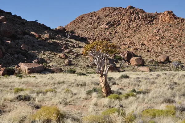 Namibia Landskap Nära Sossusvlei — Stockfoto