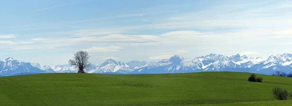 Schilderachtig Uitzicht Prachtig Alpenlandschap — Stockfoto