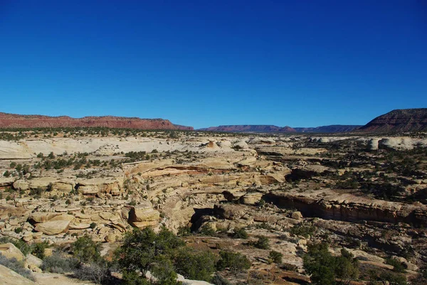 White Canyon Sandsten Nationalpark — Stockfoto