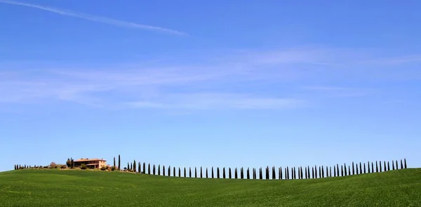 Paisaje Toscano Creta Senesi Toscana —  Fotos de Stock