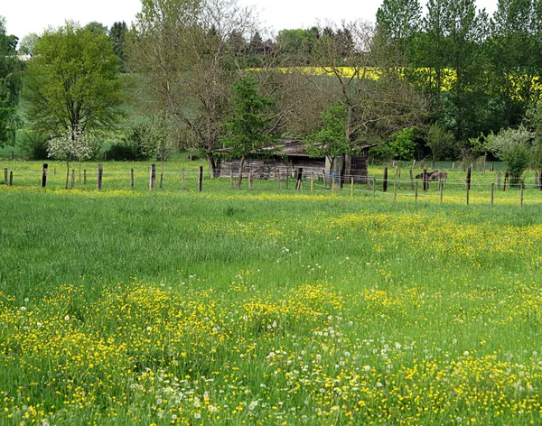 納屋付きの春の牧草地 — ストック写真