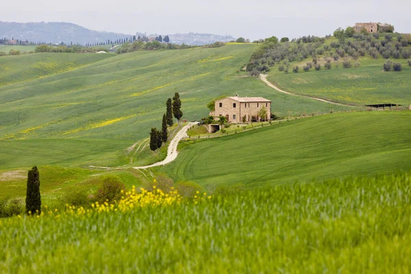 Tájkép Toszkánában Pienza Közelében — Stock Fotó