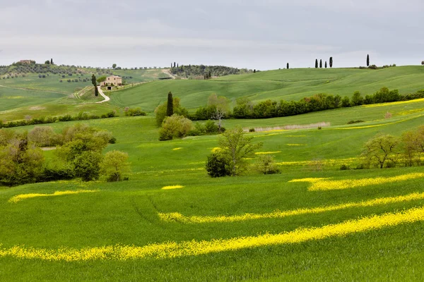 Τοπίο Στην Τοσκάνη Κοντά Pienza — Φωτογραφία Αρχείου