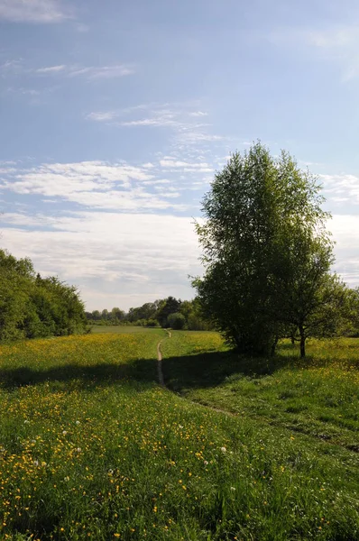 Pittoresk Utsikt Över Landskapet — Stockfoto