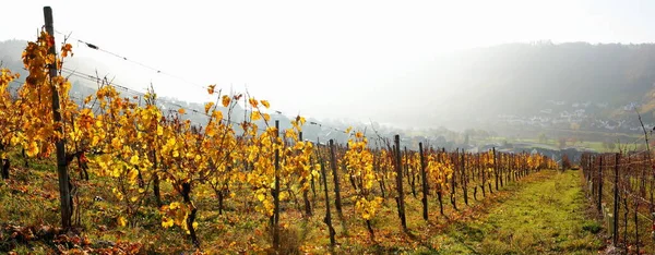 Valle Del Mosela Desde Otoño Panorama — Foto de Stock