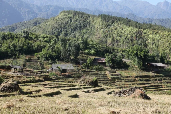 Rozmazání Filipínách Terasa Pole Pro Coultivation Rýže Banaue Unesco — Stock fotografie