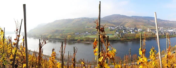 Moselle Vadisi Sonbaharda Reil Panorama — Stok fotoğraf