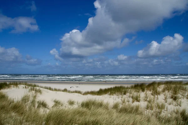 Zandduinen Het Strand Aan Noordzee — Stockfoto