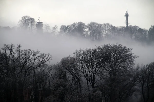 Hameln Deki Yol Işaretleri Aşağı Saksonya — Stok fotoğraf