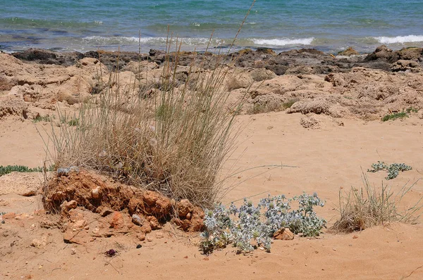 Natural Beach Crete — Stock Photo, Image