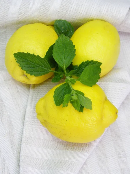 Limoni Freschi Succosi Agrumi — Foto Stock