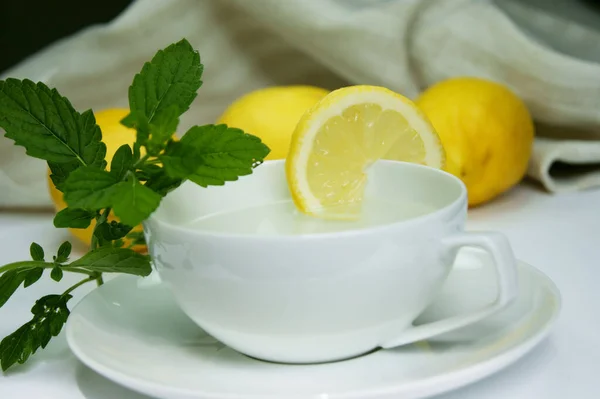 Saftige Frische Zitronen Zitrusfrüchte — Stockfoto